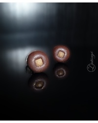 auskarai-sidabras-mini-ranku-darbo-latinge-chocolate-3_1359312623